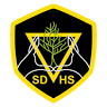 St David's High School