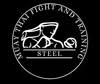 Steel Muay Thai