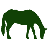 Steinbeck Peninsula Equine Clinics