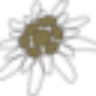 Stella