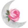 Stella Luna Skincare