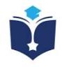 Stellar International School
