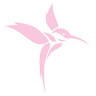 Stellula Designs & Bridal Alterations