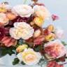 Stems Floral Design + Event Styling