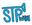 STP Wakeboard School