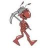 Steve Antman Insurance