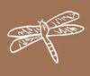 Steve Feldman Design LLC