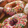 Steve's Bakery