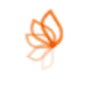 Stichting Emergo