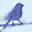 Paula Grierson Craniosacral Therapy