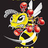 Sting Gym Frankston