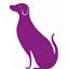 Carol House Quick Fix Pet Clinic