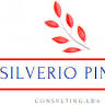 SILVÉRIO PINTO CONSULTING LDA, CONTABILISTA CERTIFICADO
