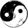Stony Plain Acupuncture & Wellness