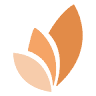 STP Consulting