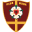 Ironbark of St Peters Lutheran College