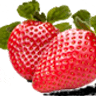 Strawberry House B & B