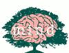 Studio Medico Associato MIND