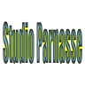 Studio Parnasse
