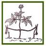 Riflessologia Plantare Rimini - Massaggio dei piedi - Fitoterapia - Studio Rhodiola - Dott.ssa Zoya Bulakhovska