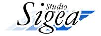 S.i.ge.a srl