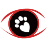 South Texas Veterinary Ophthalmology