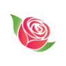 Style Roses