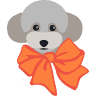 Stylin' Dogs