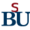 Suarabanyuurip.com