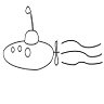Escola viva Submarí Lila