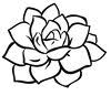 Succulent Creations by Design