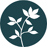 Sue Masters Holistic and Well-being