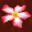 Sukon Traditional Thai Massage Cologne