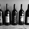 Sulei Cellars