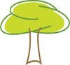 Summerside Children's & Sport Physiotherapy