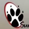 Summer Street Animal Clinic