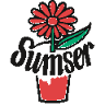 Blumen Sumser Innenraumbegrünung