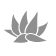 Sundari Belleza - Ecosalón