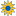 Sunflower Auto Auction
