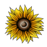 Sunflower Club Cafe & Outreach
