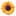 Sunflower Market Place