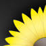 Sunflower Rents Inc