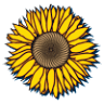 Sunflowers Animal Farm