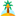 Sun Palm