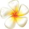 Sunuba hair and skin care center