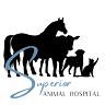 Superior Animal Hospital