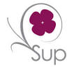 Suport Floral