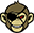 Surfmonkey Gear