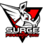 Surge To New Levels Gym