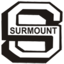 Surmount Laboratories Pvt Ltd.